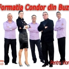 Formatii nunta - Condor Buzau