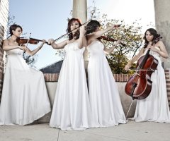 Cvartetul Arpeggione - Contact, Tarif, Muzica nunta