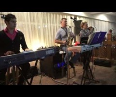Formatia de nunta Domiro Band Calimanesti, jud Valcea - contact, tarif, muzica 