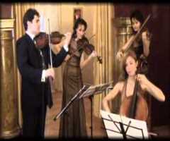 Cvartetul Solaris - Contact, Tarif, Muzica nunta